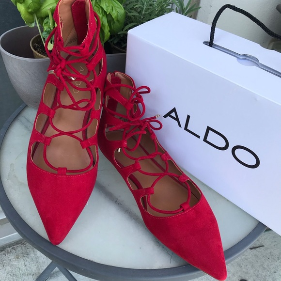 Aldo Shoes - Aldo “Spartera” Lace-up Pointy Toe Flats
